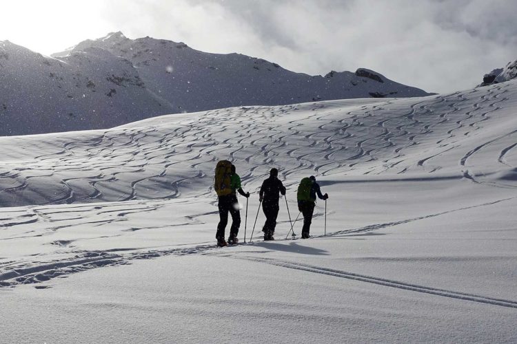 Skitour Naturpark Texelgruppe
